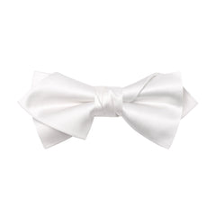 Asymmetrical Bow Ties - MANNZILO